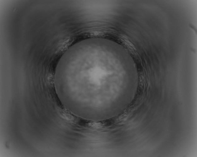 X0000092280419200710051147