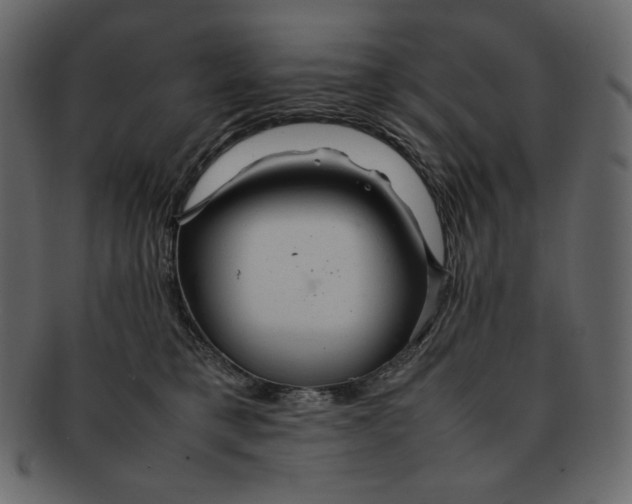 X0000092280421200710051147