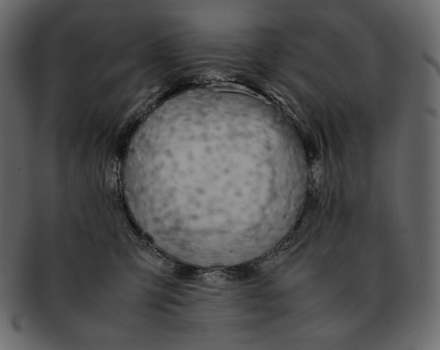 X0000092280423200710051147