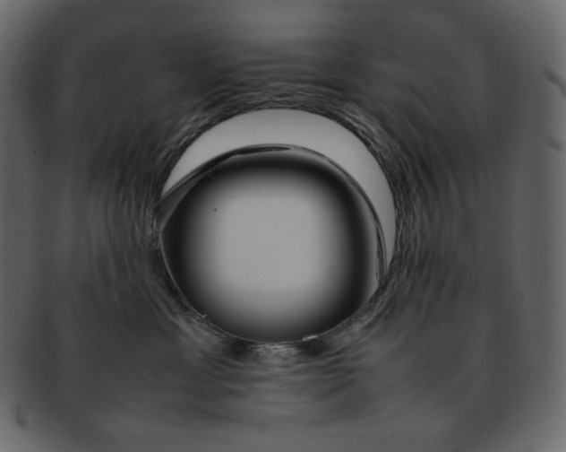 X0000092280429200710051147