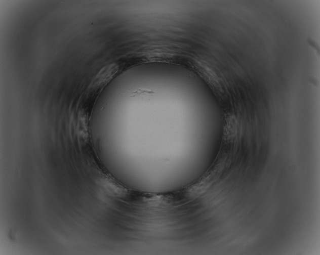 X0000092280430200710051147
