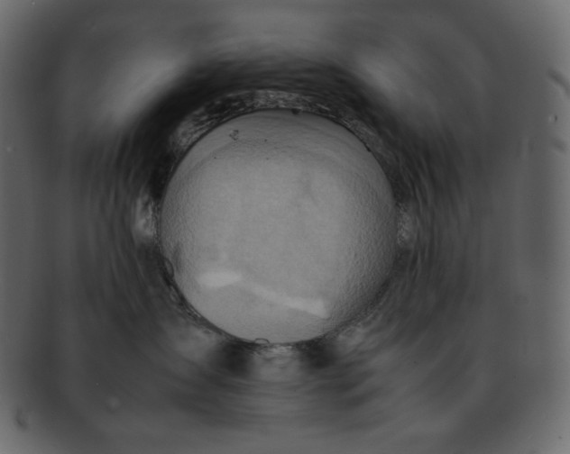 X0000092280431200710051147