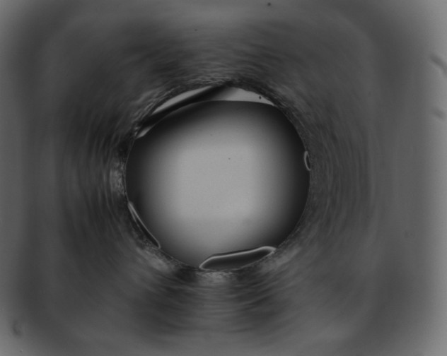 X0000092280432200710051147