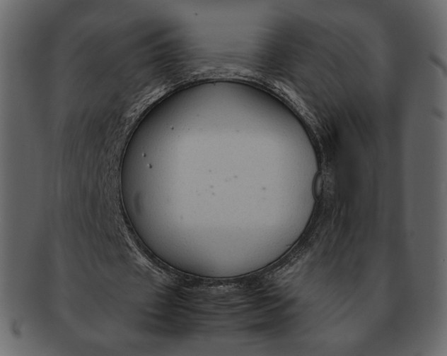 X0000092280433200710051146