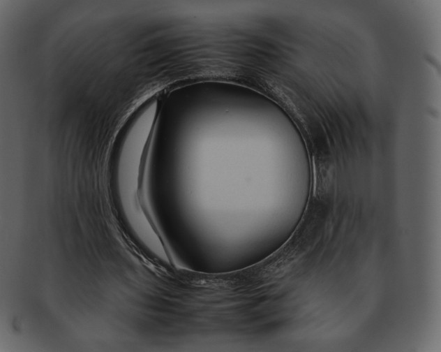X0000092280435200710051146