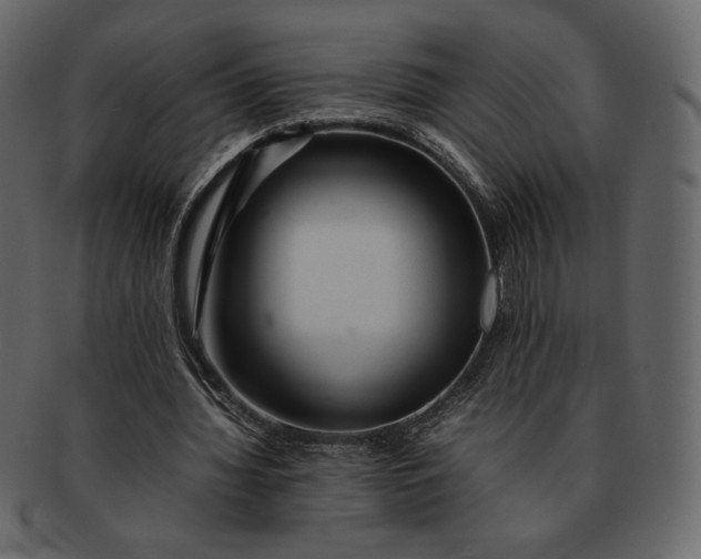 X0000092280436200710051146