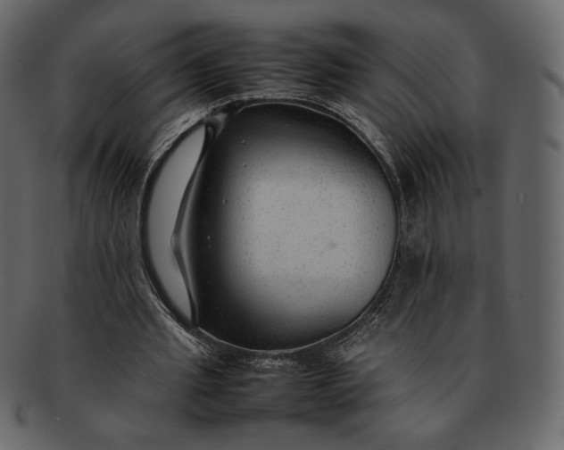 X0000092280437200710051146