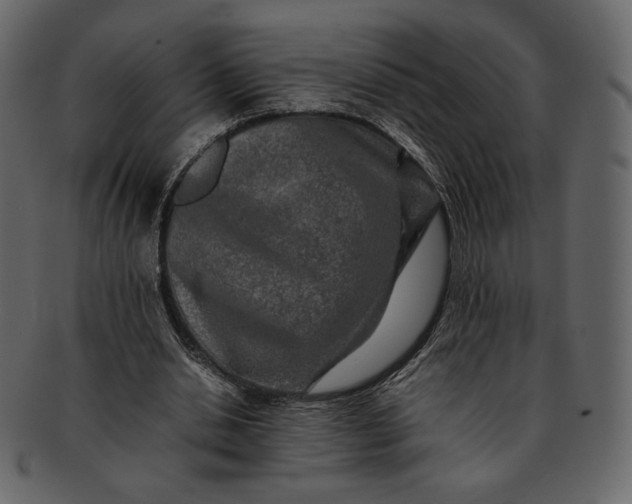 X0000092280438200710051146