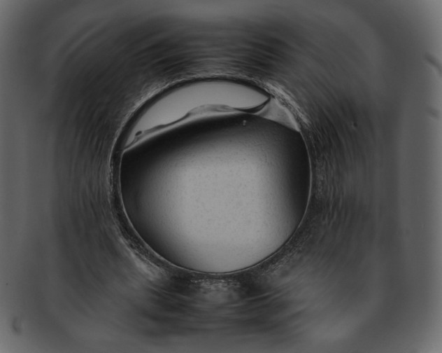 X0000092280439200710051146