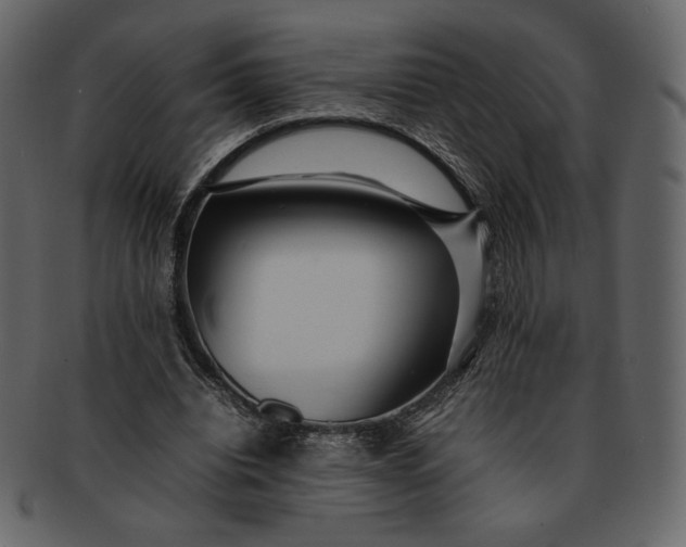 X0000092280440200710051146