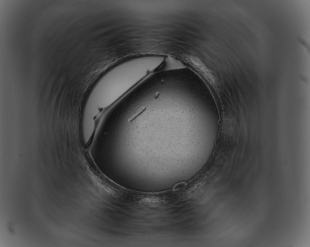 X0000092280441200710051146