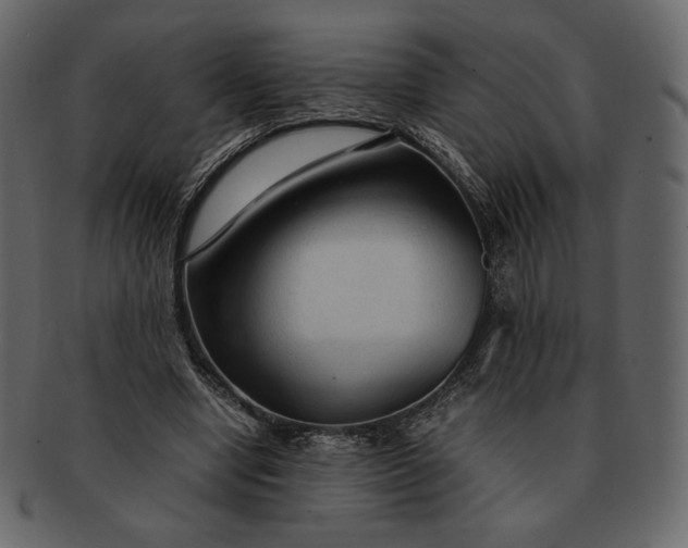 X0000092280442200710051146