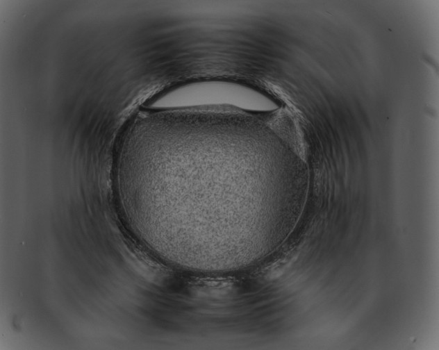 X0000092280443200710051146
