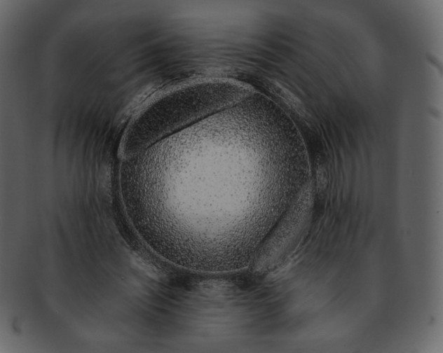 X0000092280444200710051146