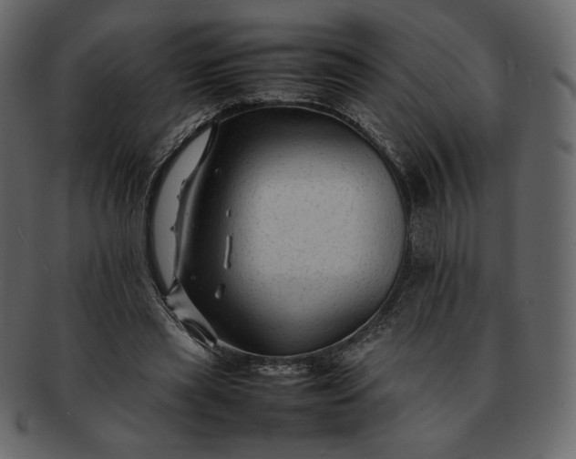 X0000092280445200710051146
