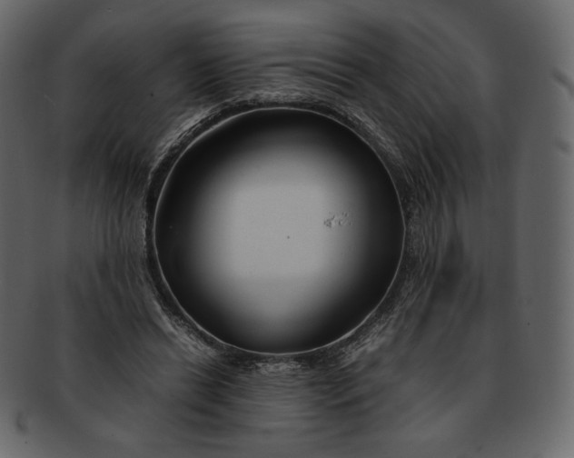 X0000092280446200710051146