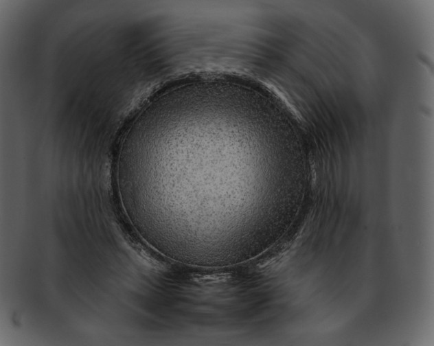 X0000092280447200710051146