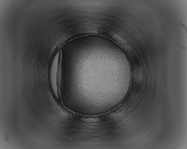 X0000092280449200710051146