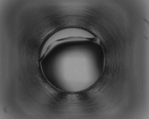 X0000092280450200710051146