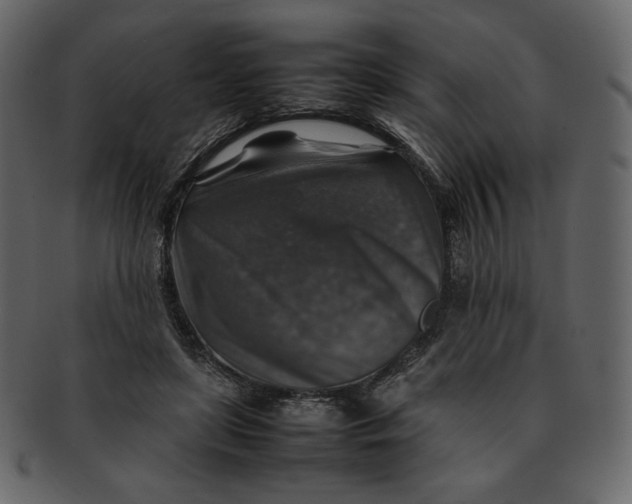 X0000092280451200710051146