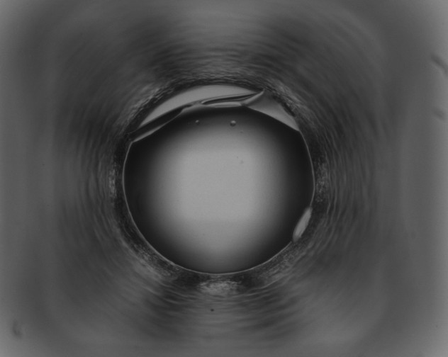 X0000092280452200710051146