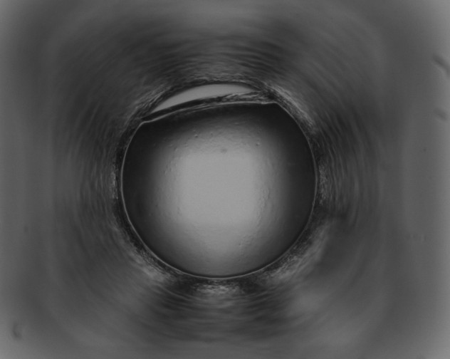 X0000092280453200710051146