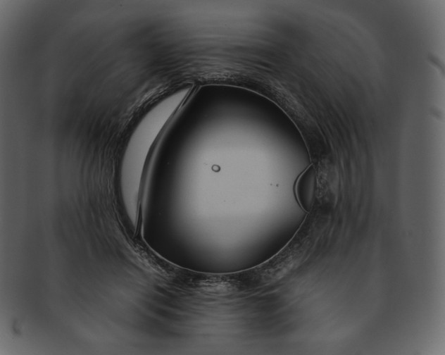 X0000092280454200710051146