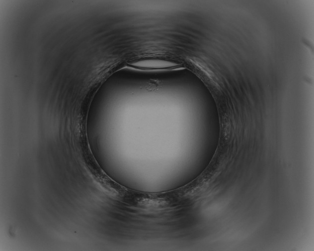 X0000092280455200710051146