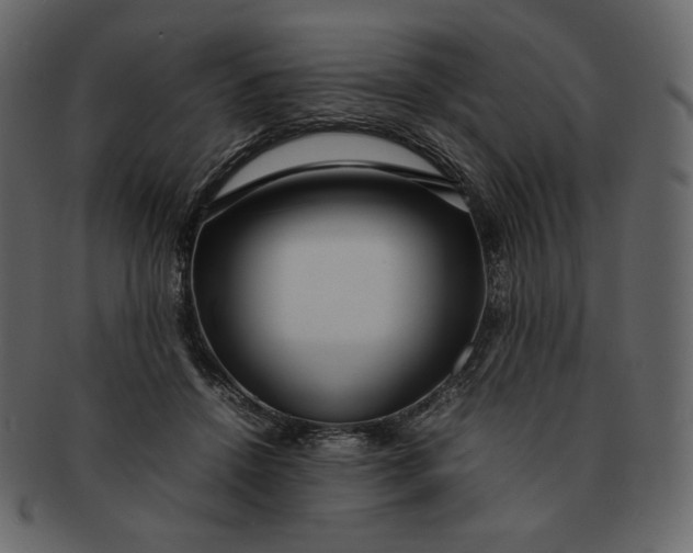 X0000092280456200710051146