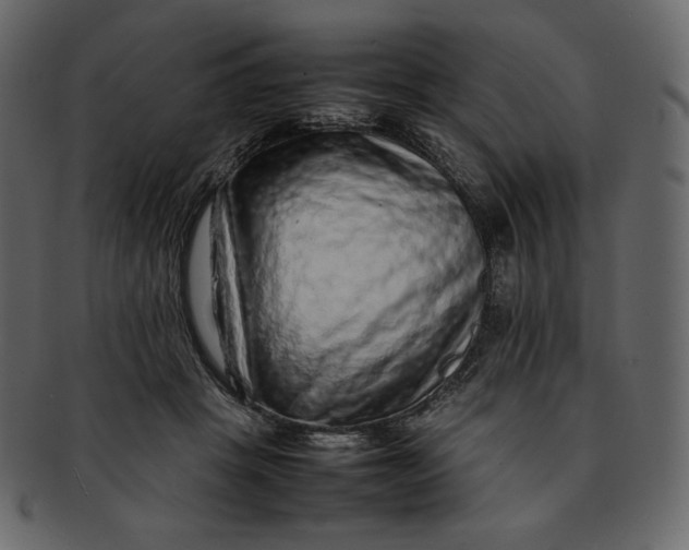 X0000092280457200710051147