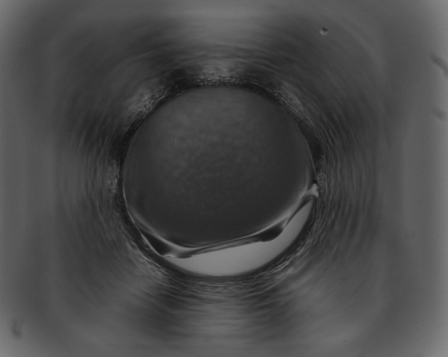 X0000092280458200710051147
