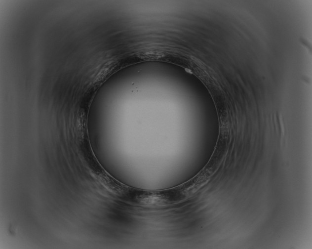 X0000092280460200710051147