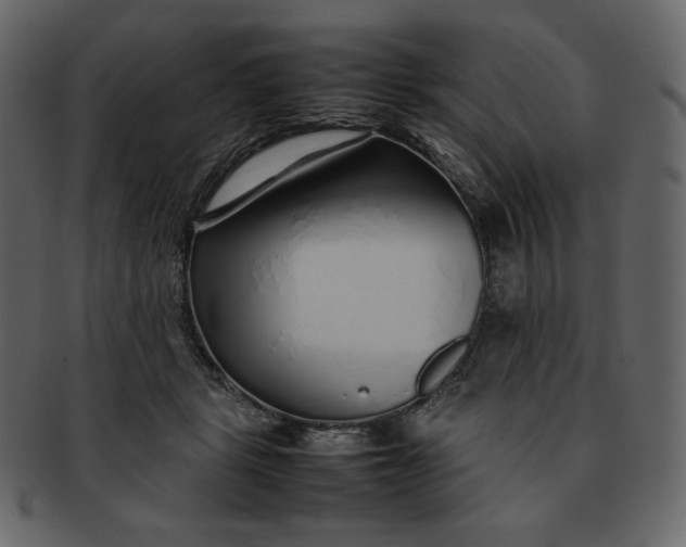 X0000092280461200710051147
