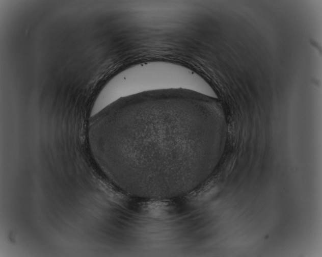 X0000092280462200710051147