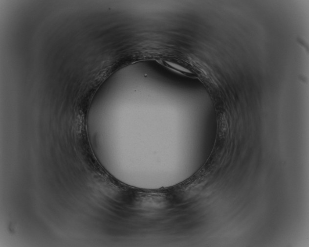 X0000092280463200710051147