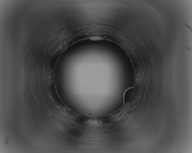 X0000092280464200710051147
