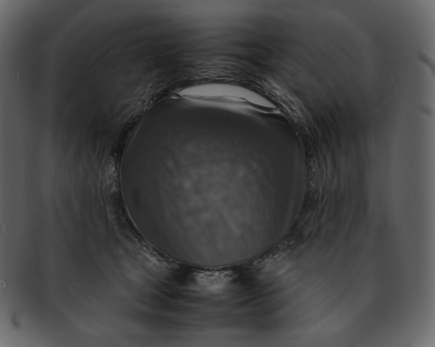 X0000092280465200710051147