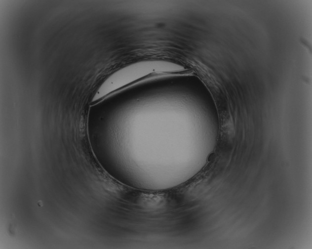 X0000092280469200710051147