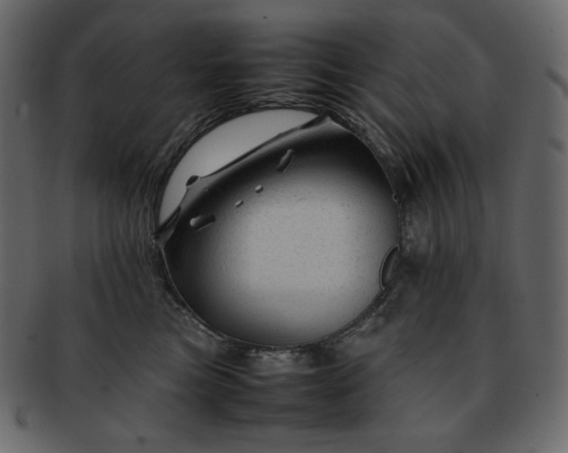X0000092280473200710051147