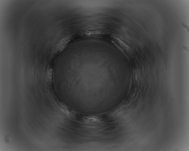 X0000092280475200710051147