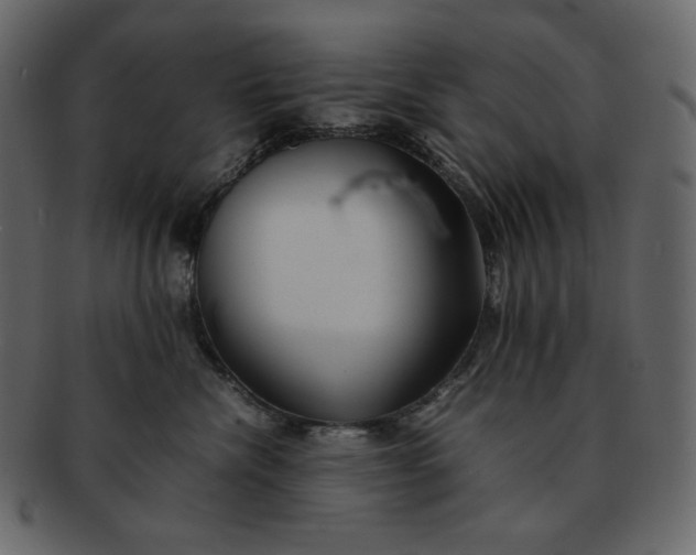 X0000092280476200710051147