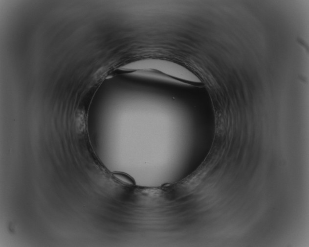 X0000092280478200710051147