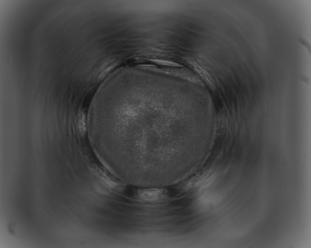 X0000092280479200710051147