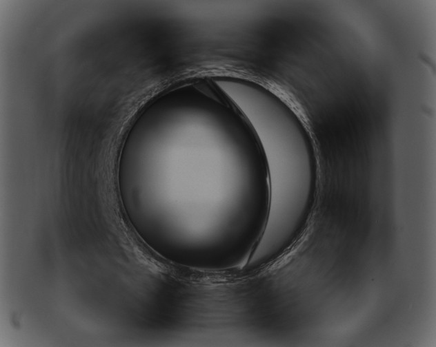 X0000092280481200710051146