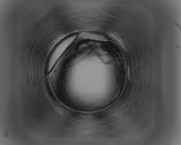 X0000092280483200710051146