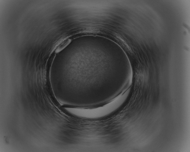 X0000092280484200710051146