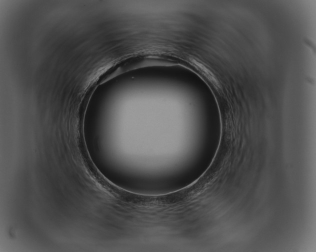 X0000092280485200710051146