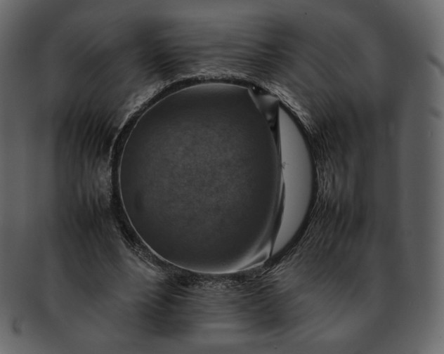 X0000092280488200710051146