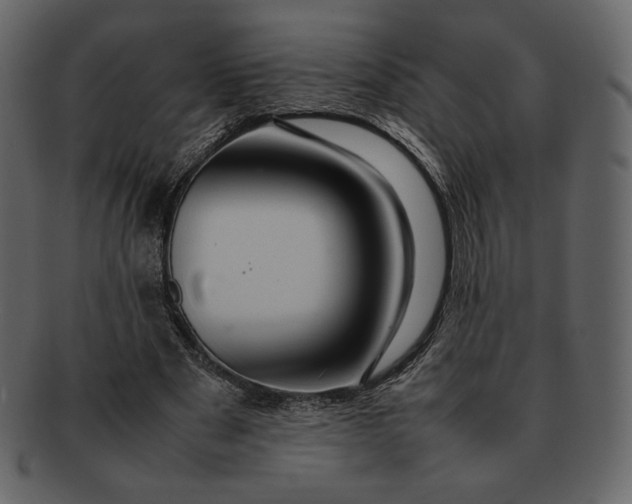 X0000092280489200710051146