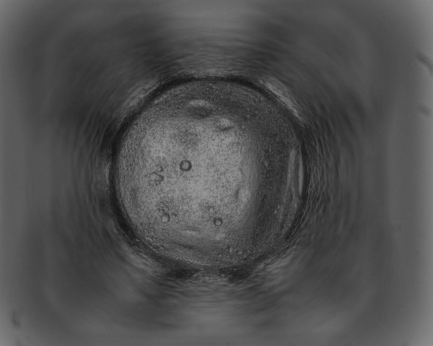 X0000092280491200710051146